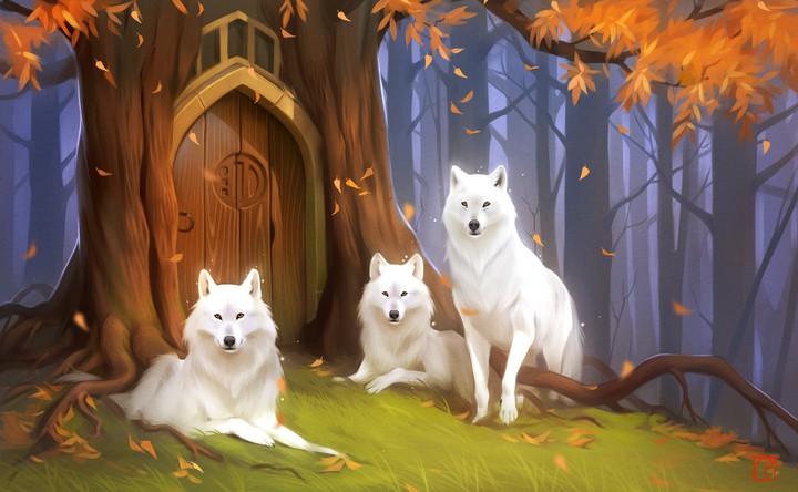 Animal World