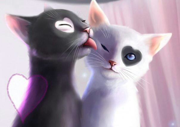 ♡♡♡