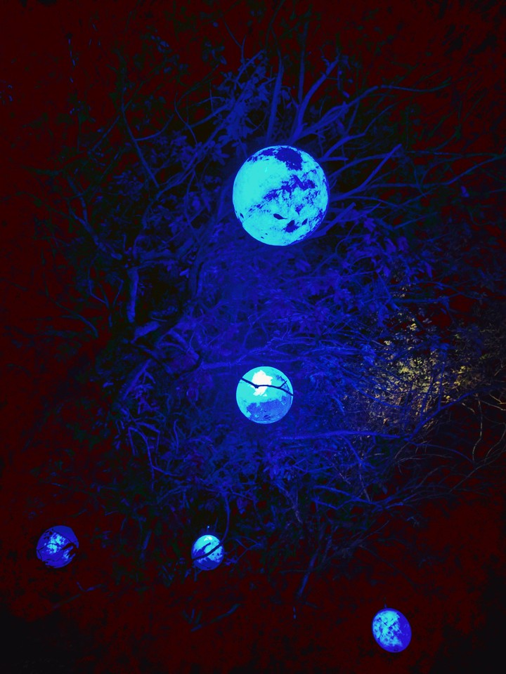 lights