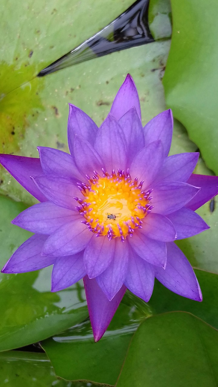 Nature has its own Contrast...