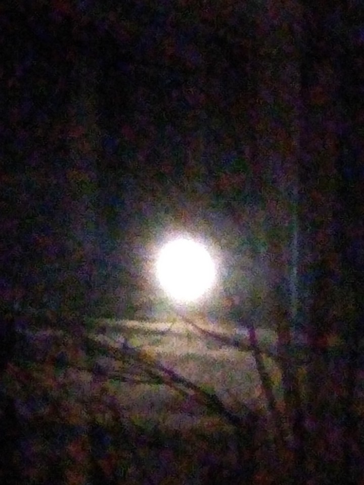 night in the light