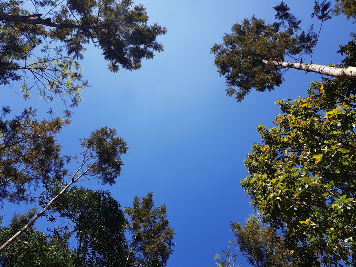Sky