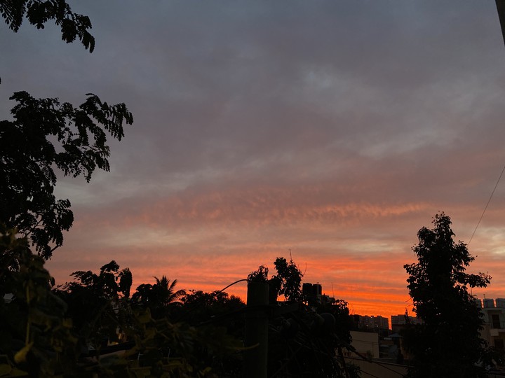 The Sky is orange