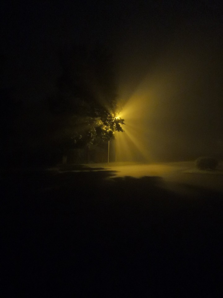 Thick fog