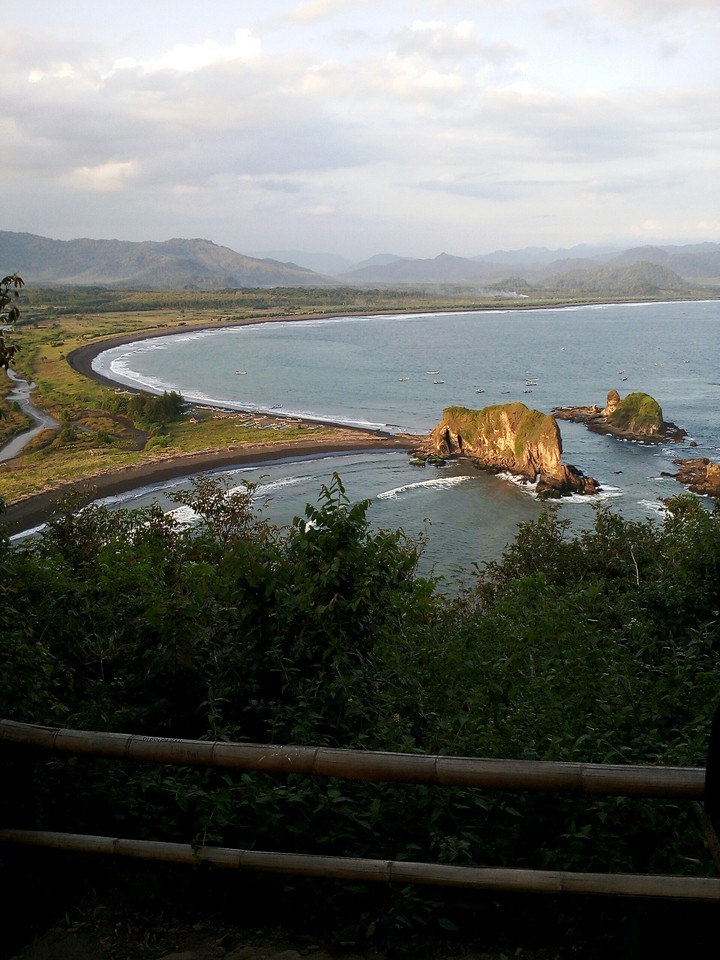 teluk love