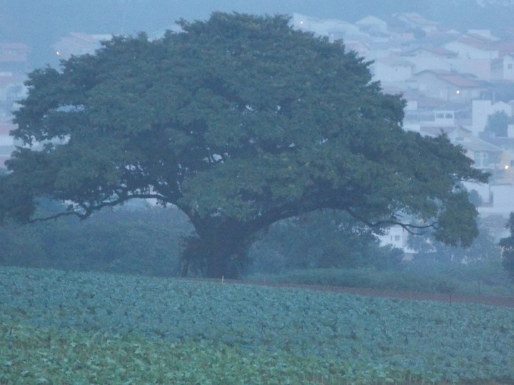 #Nature
