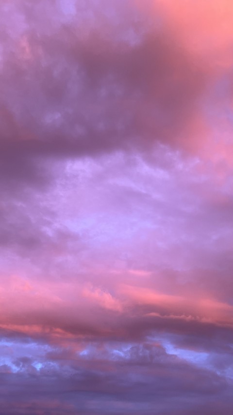 шпалери sky, purple
