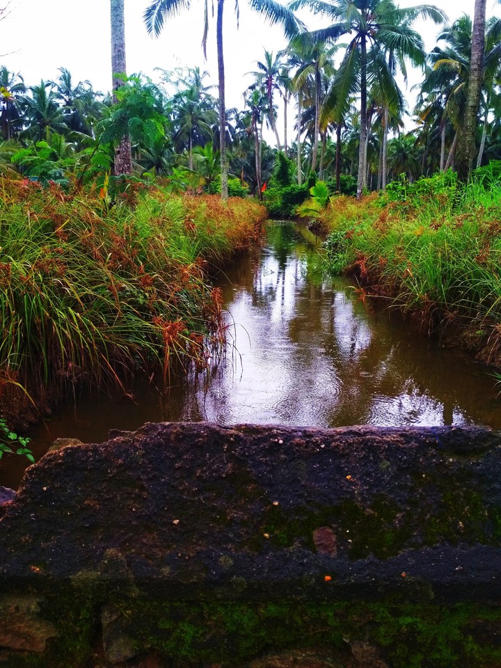 Canal