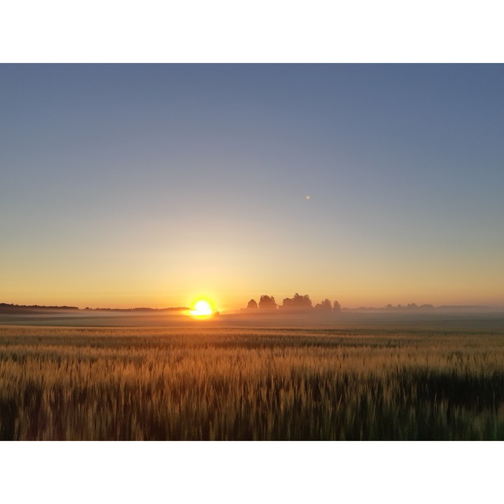 Sunrise 4.30