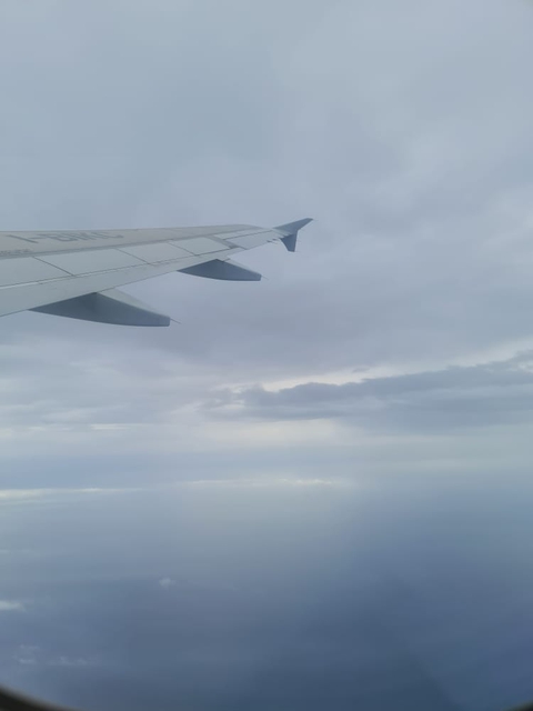 airplane