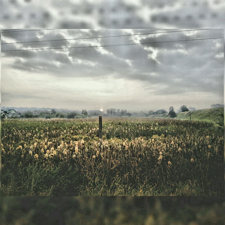 Morning