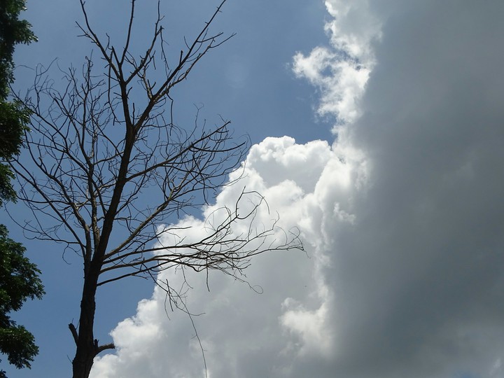Winter Sky in my camera.