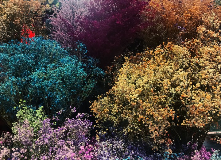 Flowers