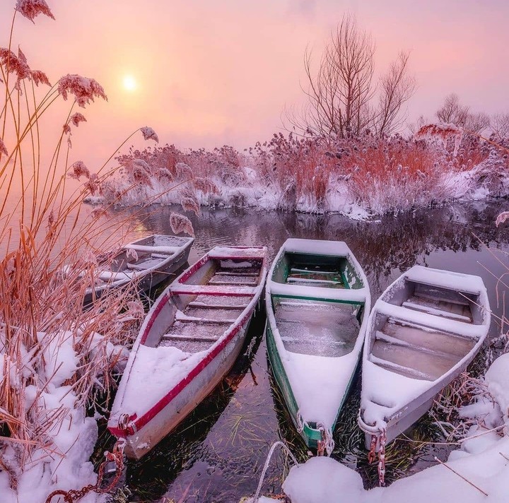 boats...