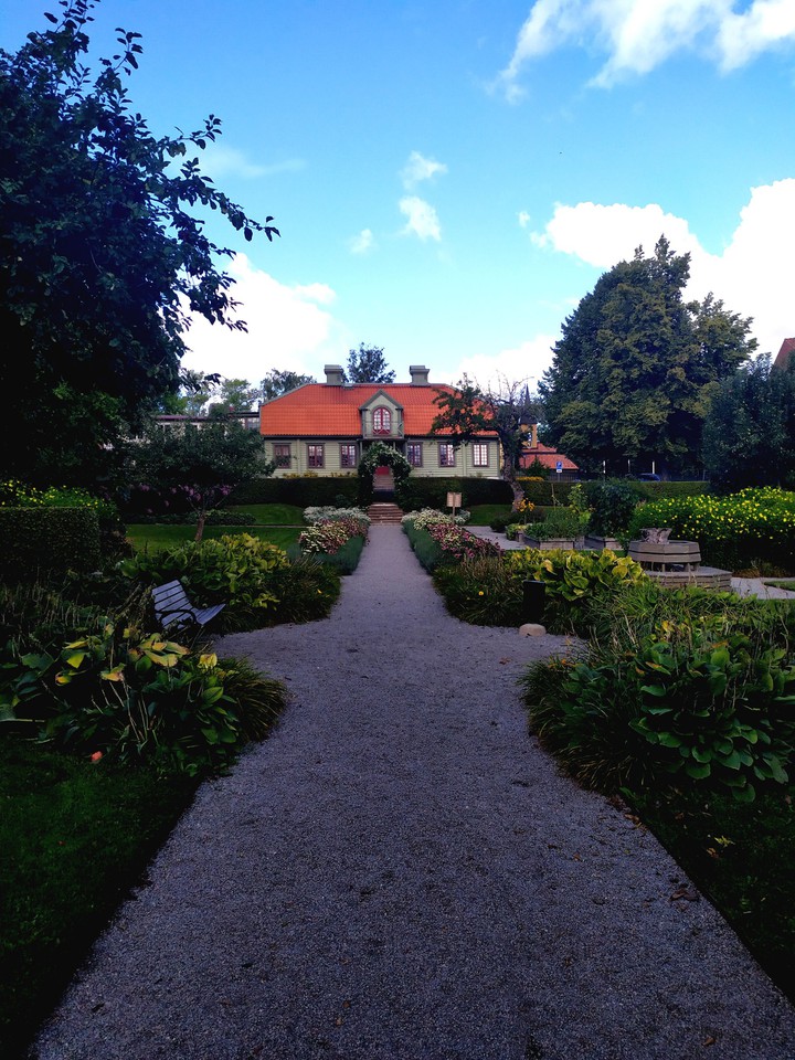 Avenue