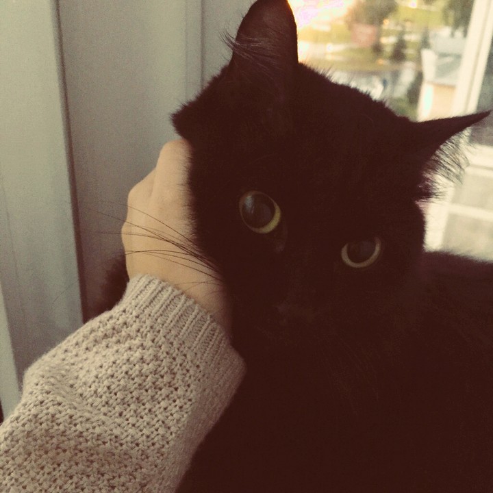 Kesa