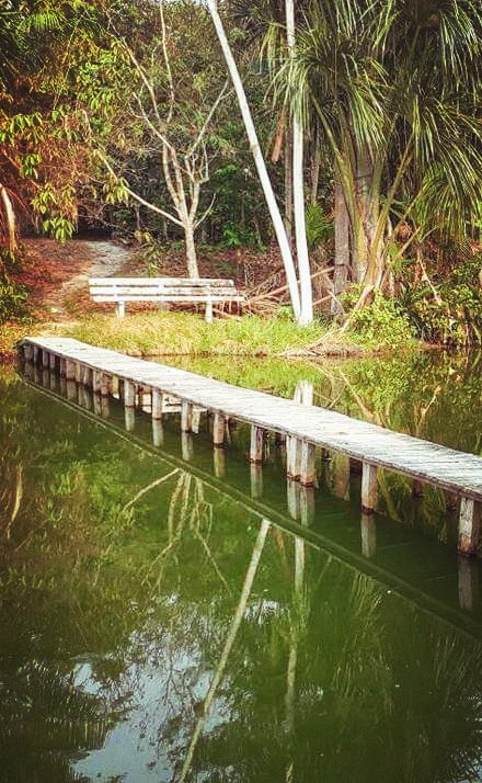 Paisagem