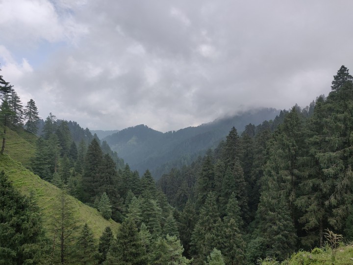 mountains