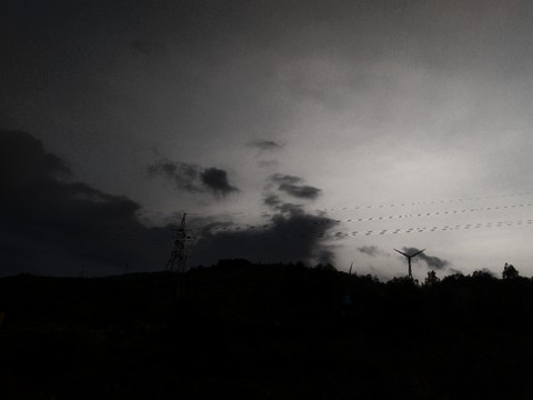 tapety morning, photography