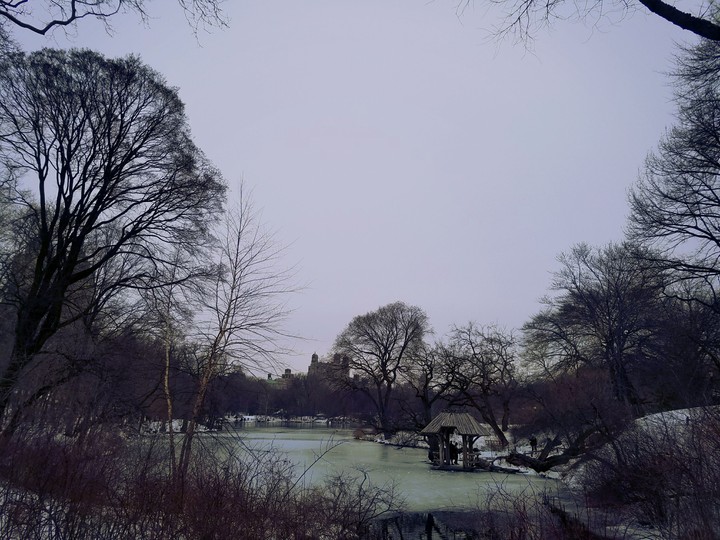 Central park view