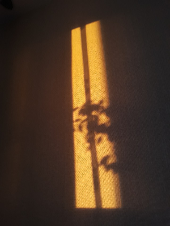 ξΑ