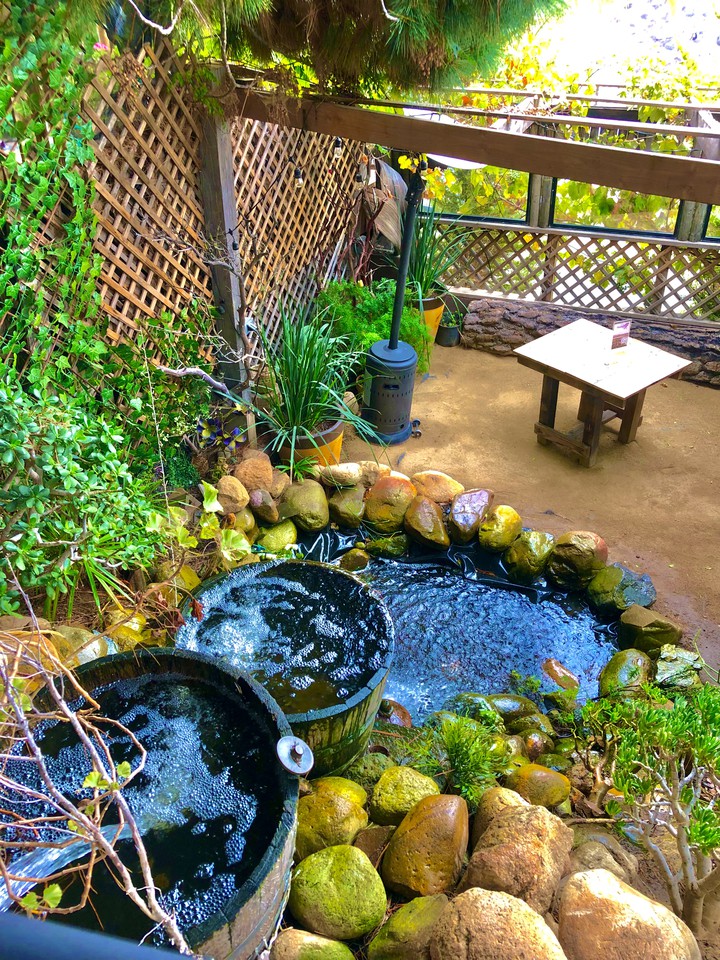 Jardín