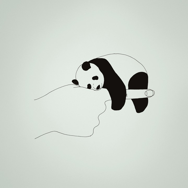 Sleepy panda
