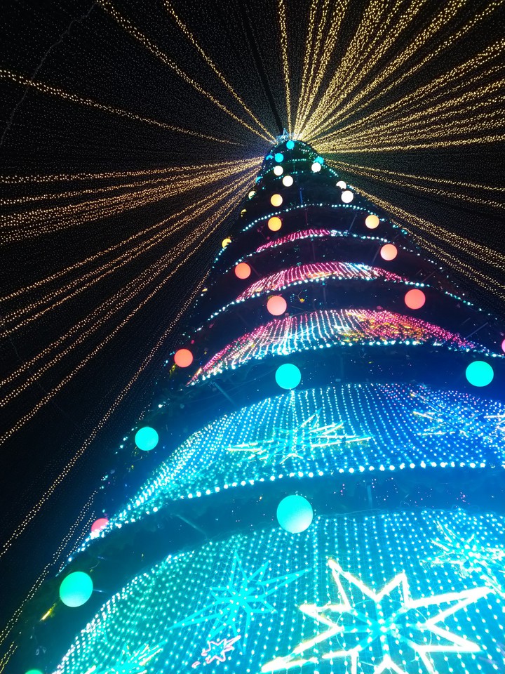 Tree Kazan'2020