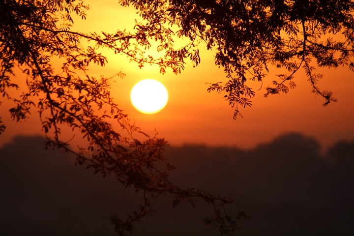 Sunrise