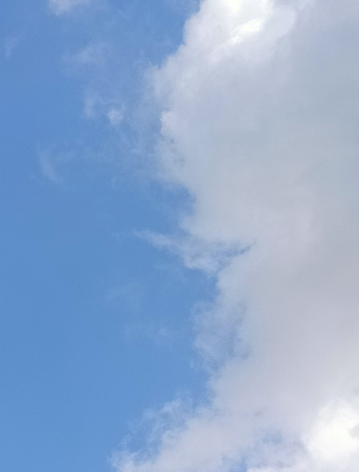 ?️