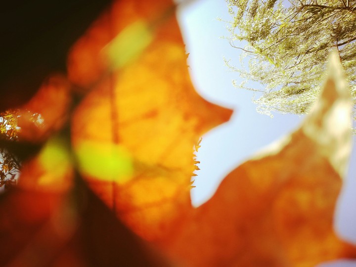autumn