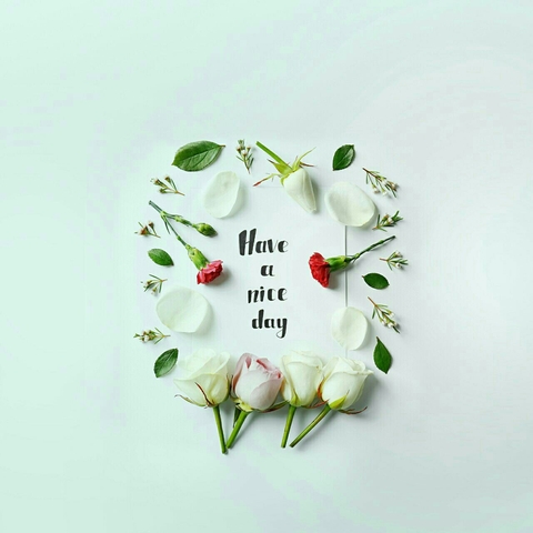 обои colorful, quotes