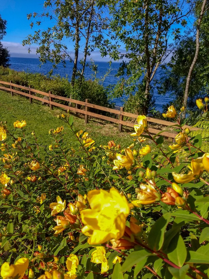 Landscape