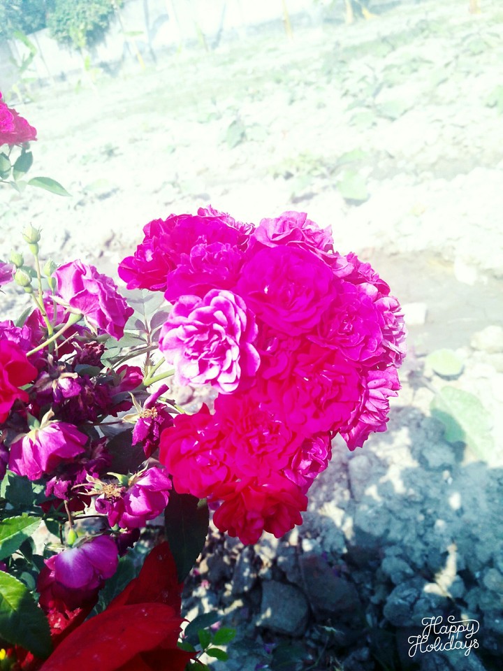 My A7 Click