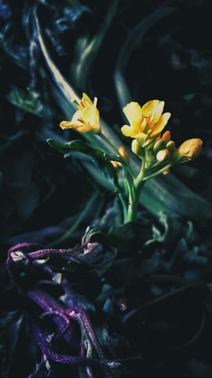 ❤