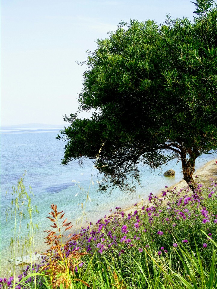 sea
