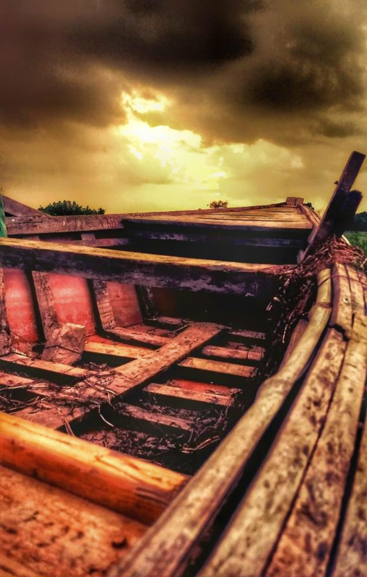 isolated beauty