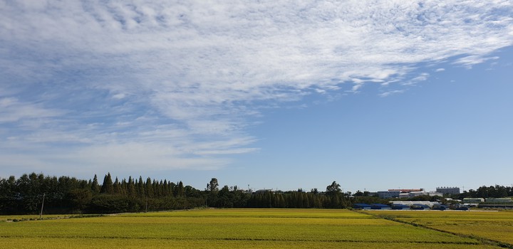 sky