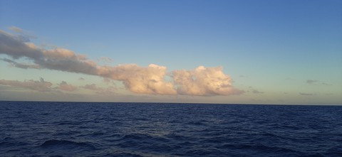 ocean