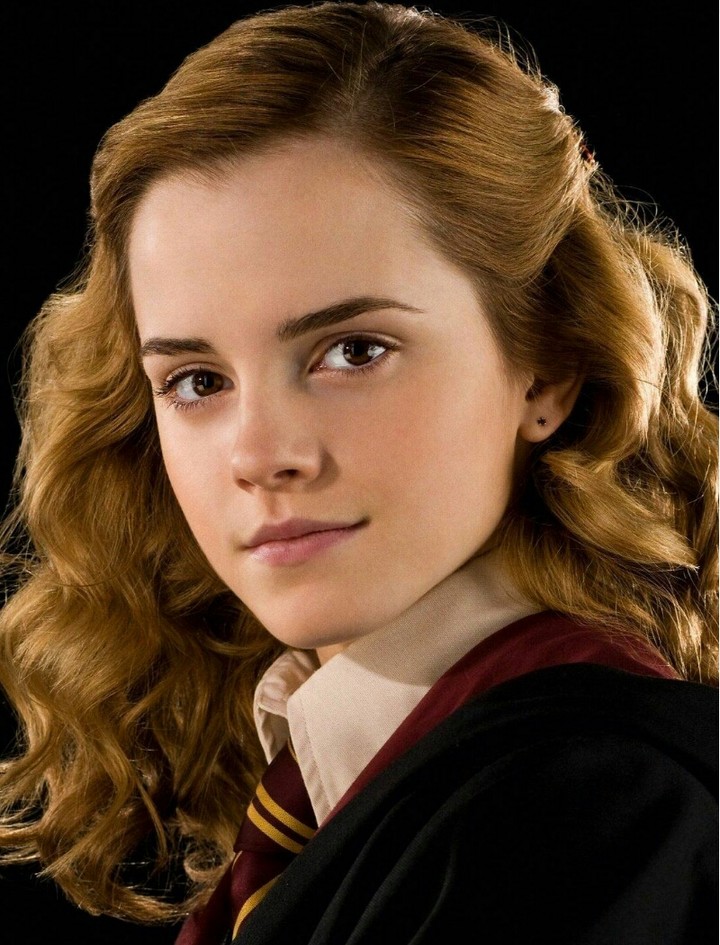 clever girl in Harry Potter (hermione granjer)