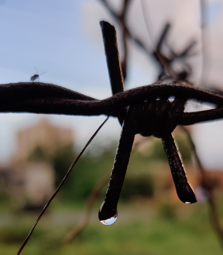 macros drop