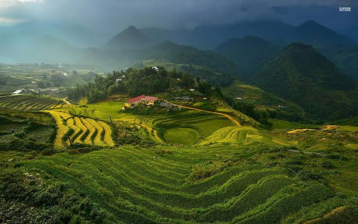 Darjiling India