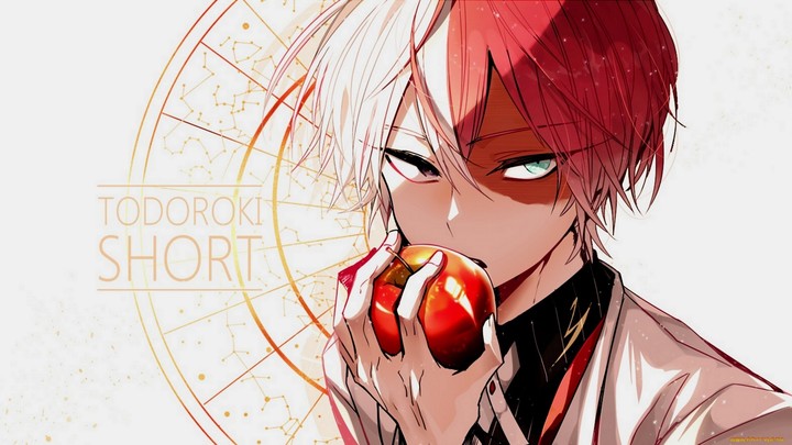 Todoroki Shoto