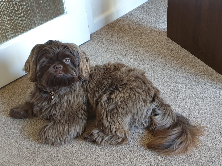 royal visit from coco!!