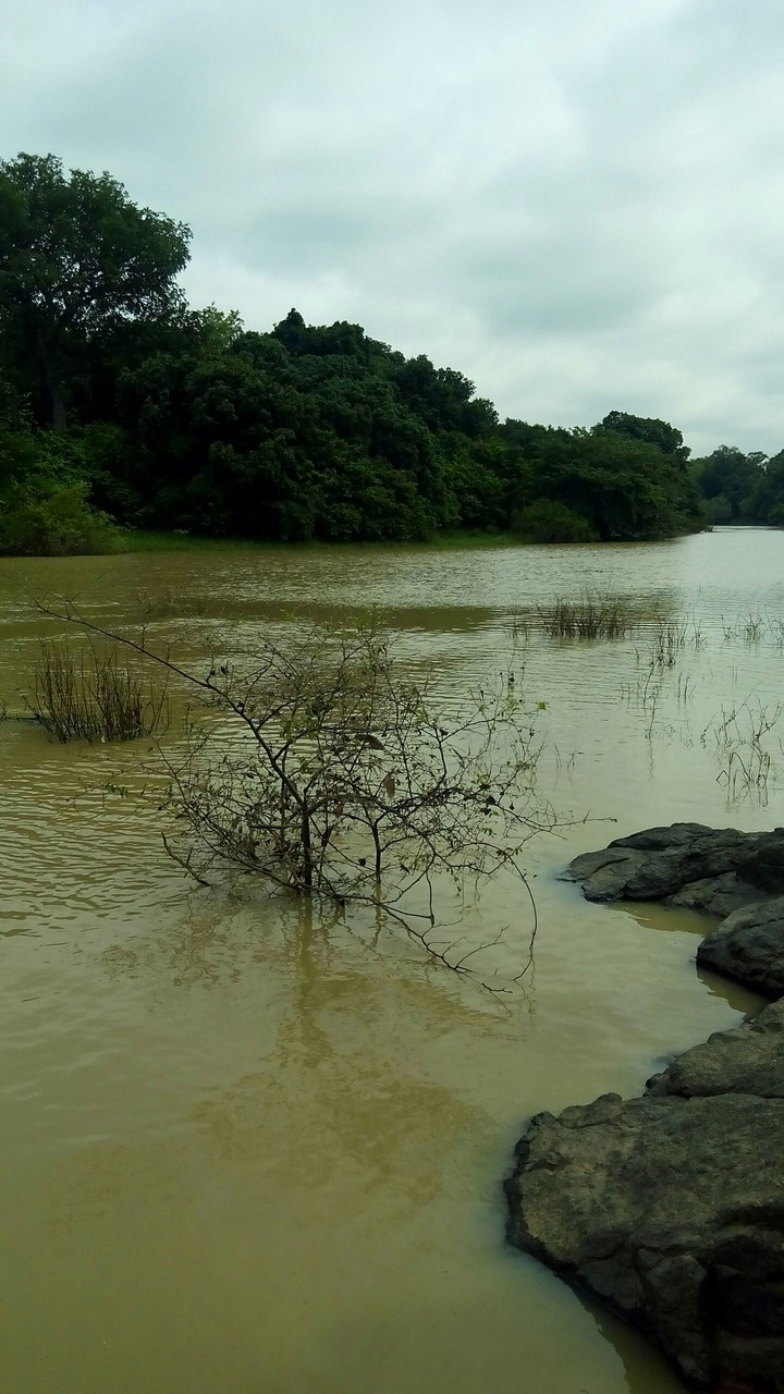 Gentle river