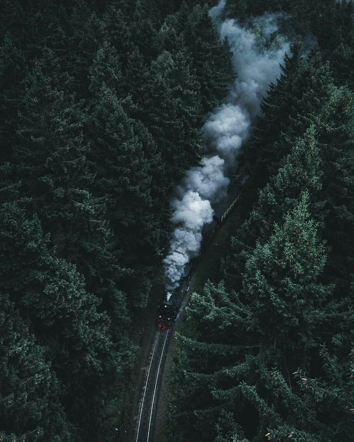 train