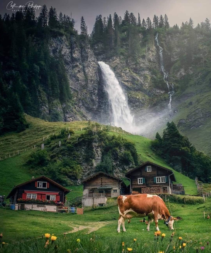 Beautiful