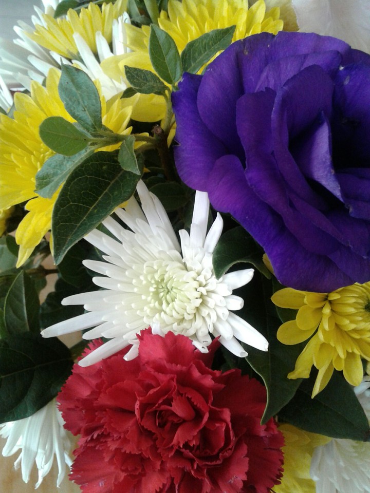 flowers