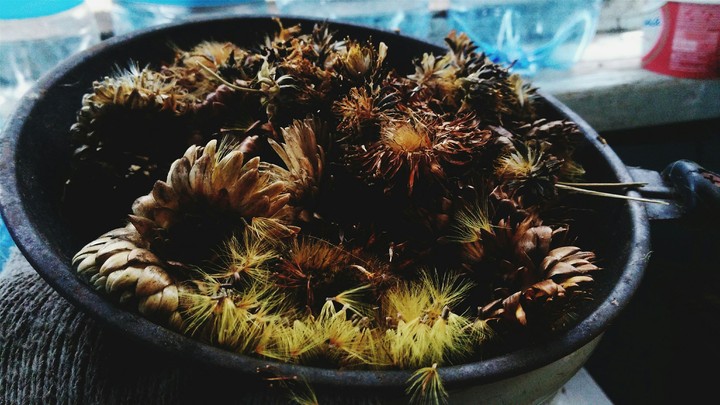 Dry flowers