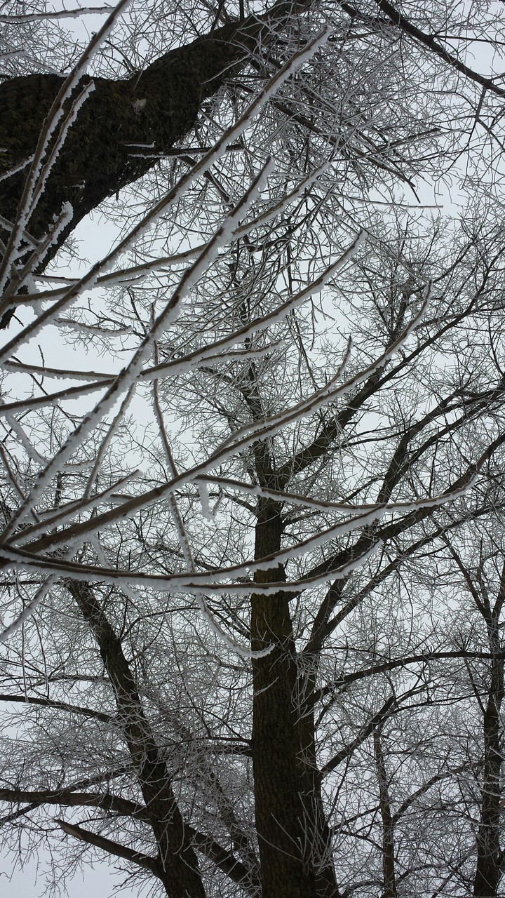 beautiful winter